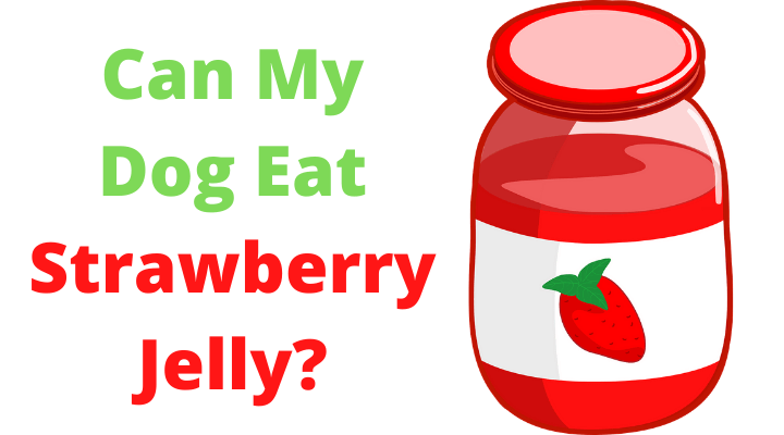 can dogs have strawberry jelly, can dogs eat strawberry jelly, can you give dogs strawberry jelly, is strawberry jelly ok for dogs, is strawberry jelly bad for dogs, is strawberry jelly safe for dogs, can my dog eat strawberry jelly